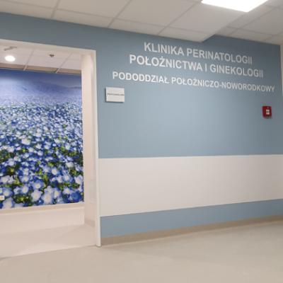 Instytut Centrum Zdrowia Matki Polki Łódź