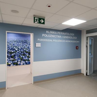 Instytut Centrum Zdrowia Matki Polki Lodz